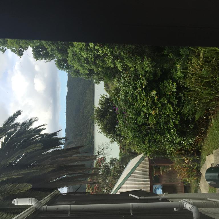 Whangaroa Sunseeker Lodge מראה חיצוני תמונה